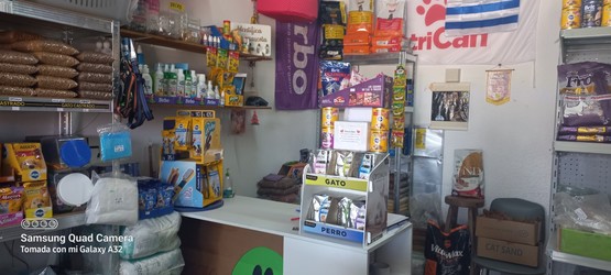 PUNTO MASCOTA PUNTO MASCOTA