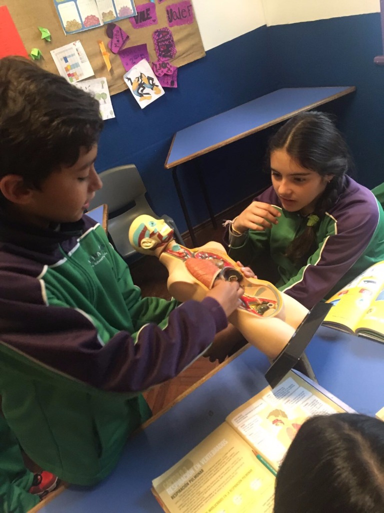 IMAGÍNATE CENTRO EDUCATIVO BILINGUE  