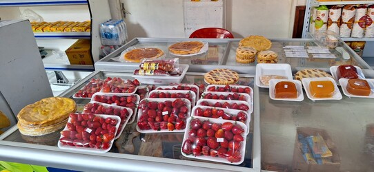 AUTOSERVICE LOS MENDEZ 