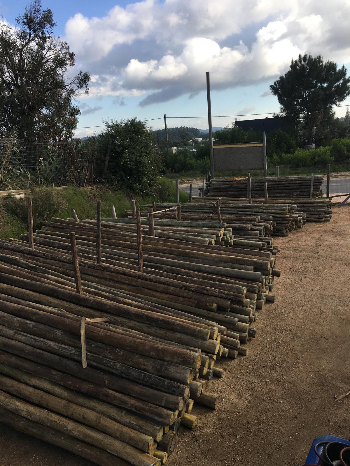 MADERAS CURMA MALDONADO  