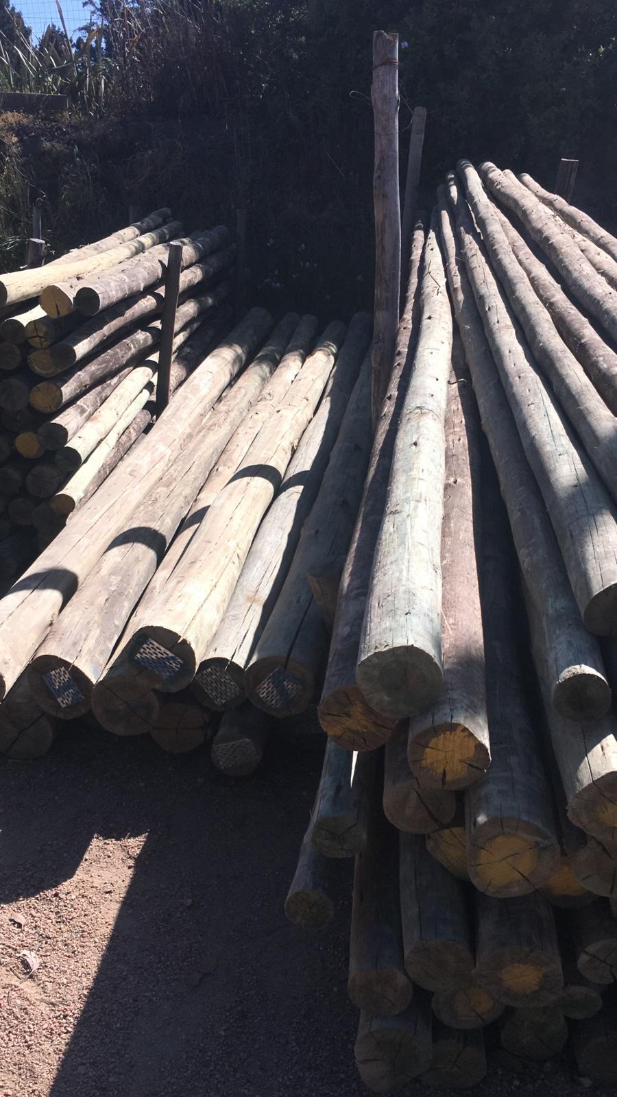 MADERAS CURMA MALDONADO  