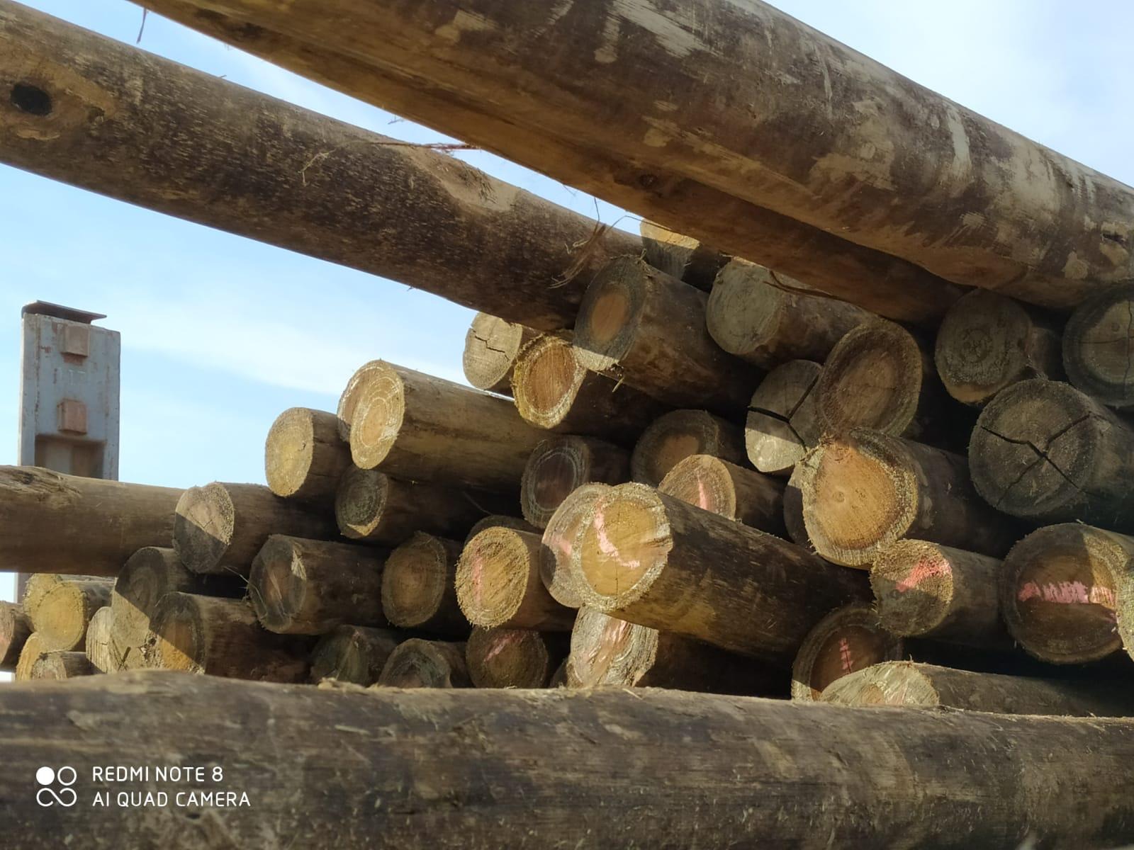 MADERAS CURMA MALDONADO  