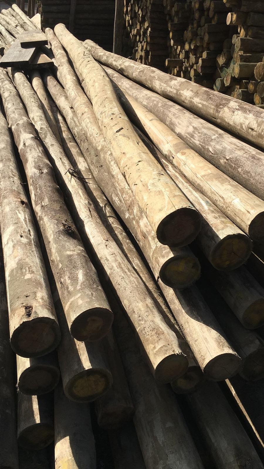 MADERAS CURMA MALDONADO  