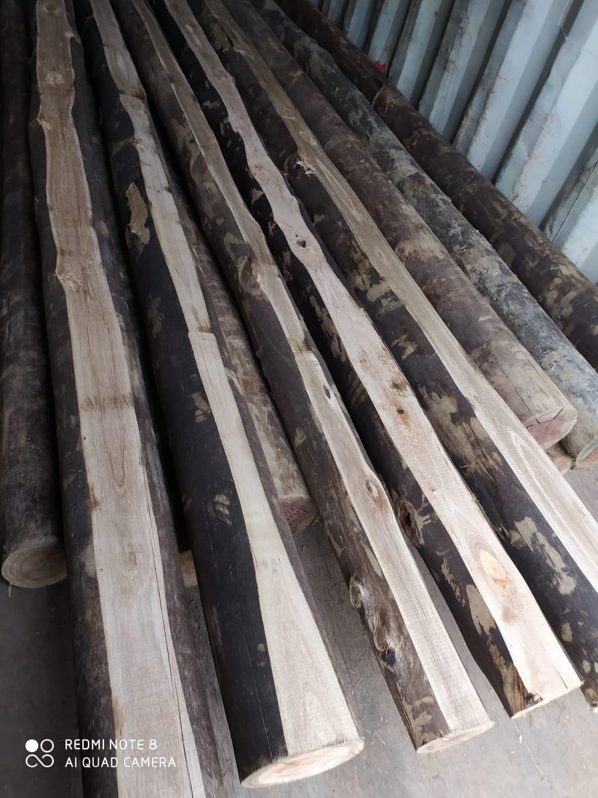 MADERAS CURMA MALDONADO  