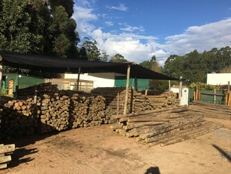 MADERAS CURMA MALDONADO 