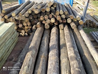 MADERAS CURMA MALDONADO 