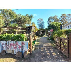 BUFFET COMIDA LO DE MARIA 