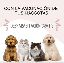 VETERINARIA LA COMERCIAL VETERINARIA LA COMERCIAL