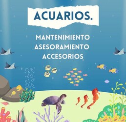 VETERINARIA LA COMERCIAL VETERINARIA LA COMERCIAL