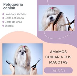 VETERINARIA LA COMERCIAL VETERINARIA LA COMERCIAL