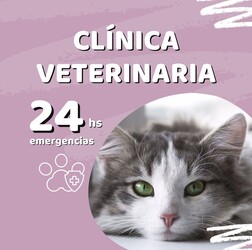 VETERINARIA LA COMERCIAL VETERINARIA LA COMERCIAL