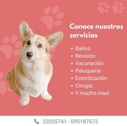 VETERINARIA LA COMERCIAL VETERINARIA LA COMERCIAL