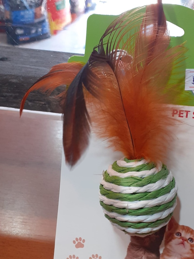 PET SHOP 33 JUGUETES MASCOTAS PET SHOP 33 EN PANDO TEL. 22920967