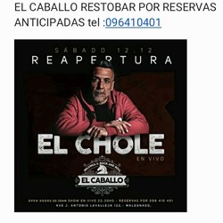 EL CABALLO MILONGA & ROCK AND ROLL 