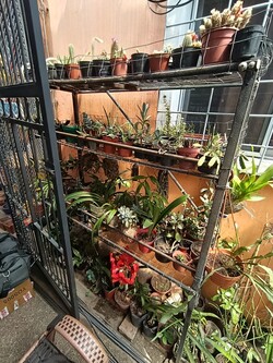 PESCA HERRAMIENTAS Y VIVERO 