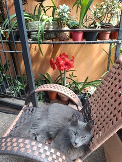 PESCA HERRAMIENTAS Y VIVERO 