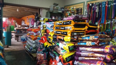 CLINICA VETERINARIA PIRIAPOLIS 