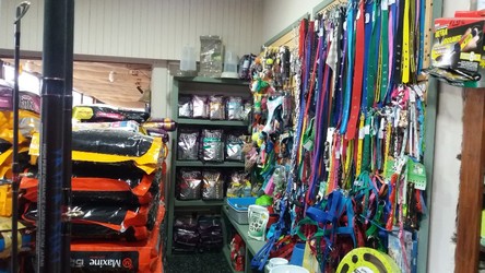 CLINICA VETERINARIA PIRIAPOLIS 