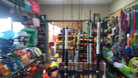 CLINICA VETERINARIA PIRIAPOLIS 