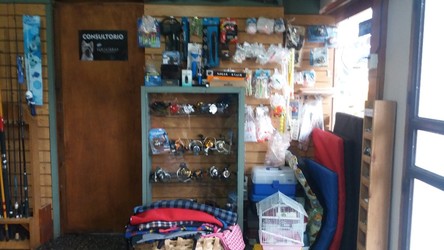 CLINICA VETERINARIA PIRIAPOLIS 