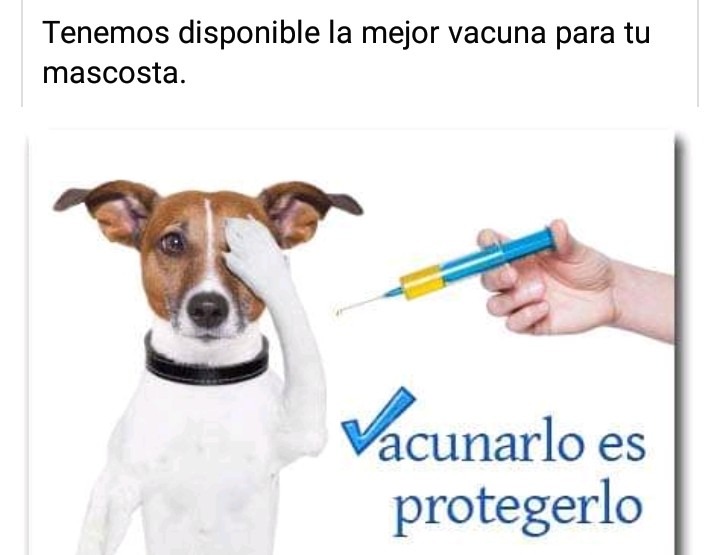VETERINARIO MOVIL  
