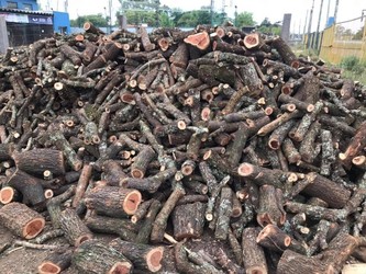 LEÑERIA LEÑA PARA EL CARBÓN Espinillo