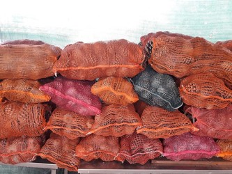 LEÑERIA LEÑA PARA EL CARBÓN Piñas