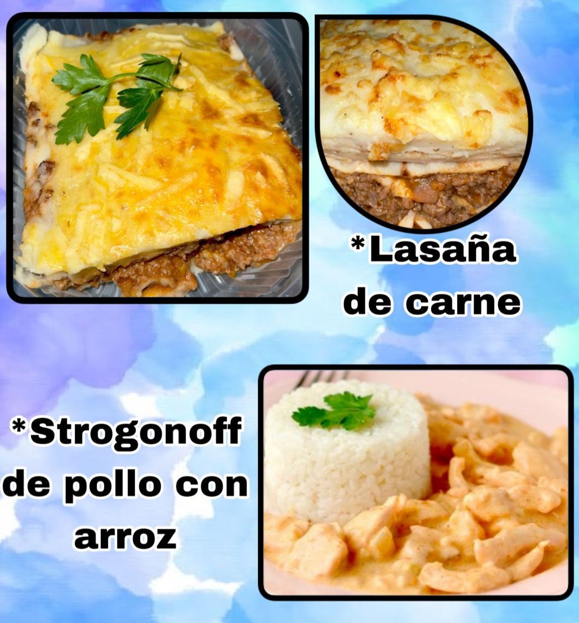 LA COCINA DE SIL Comida casera  Lasaña 
Strogonof