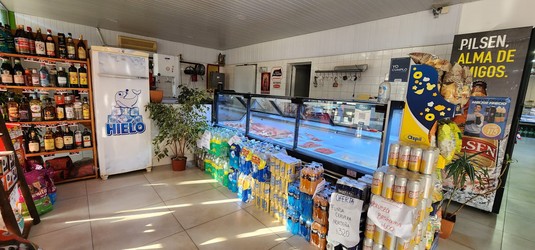 CARNICERÍA Y AUTOSERVICE MENDIZABAL Carnicería 