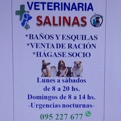 VETERINARIA SALINAS 
