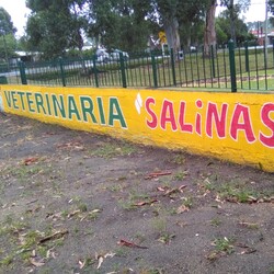 VETERINARIA SALINAS 