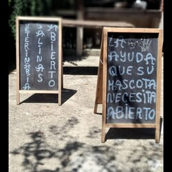 VETERINARIA SALINAS 