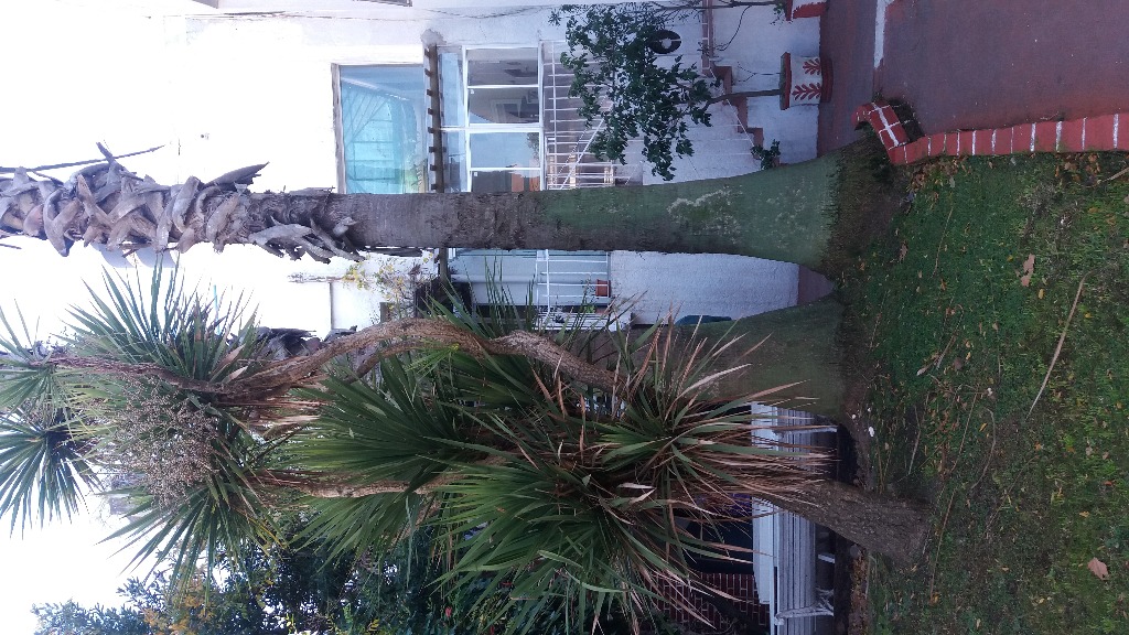 RESIDENCIAL NUEVA LUNA  