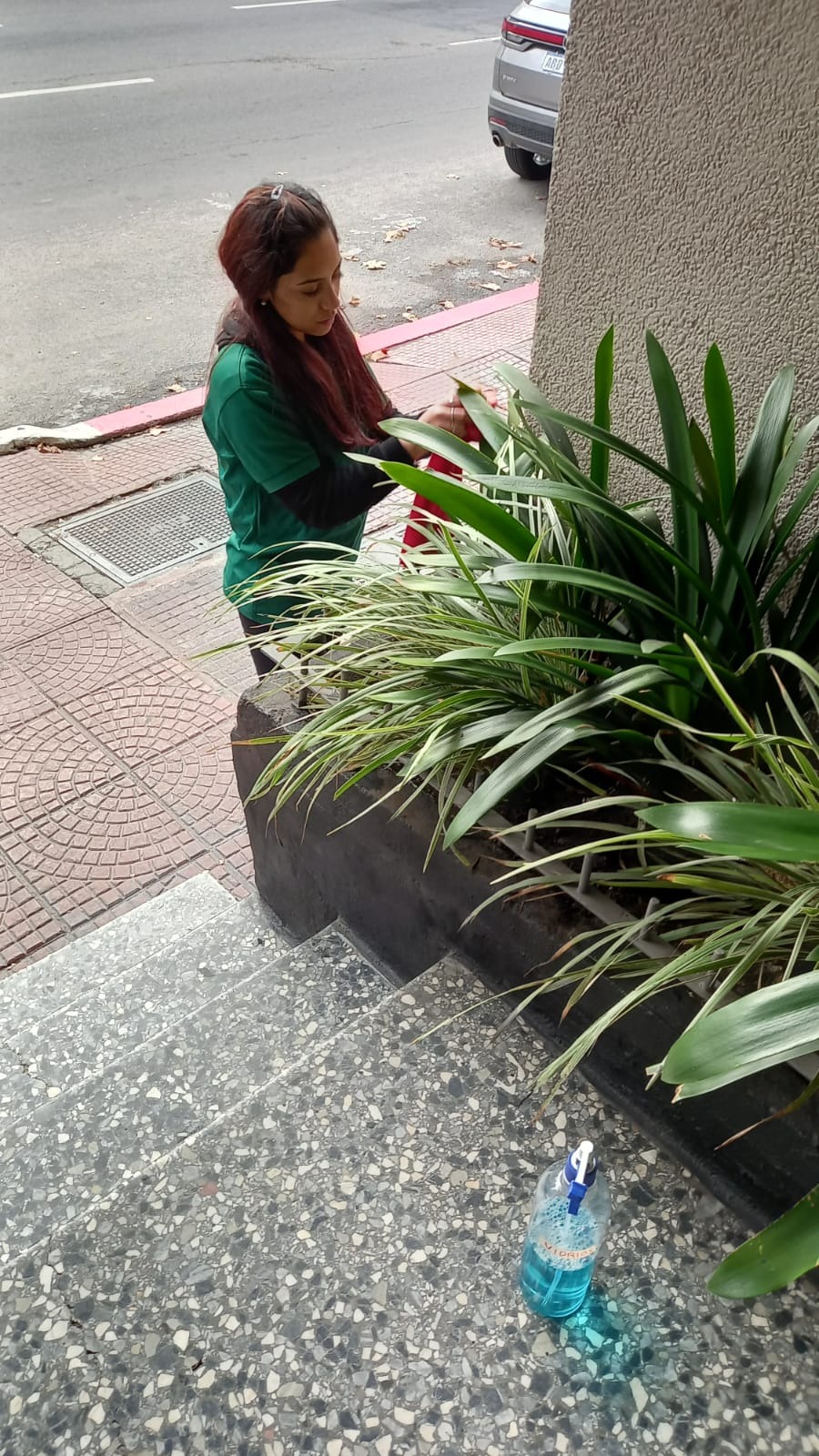 ALL CLEAN MONTEVIDEO  