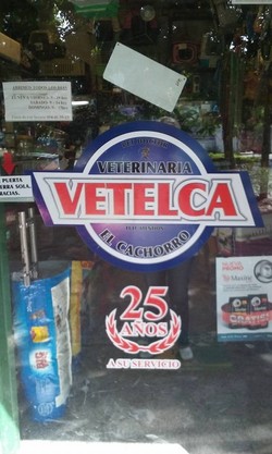 VETELCA VETERINARIA EL CACHORRO 