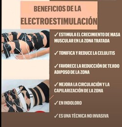 Verte Radiante Verte Radiante 