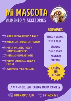 MI MASCOTA 