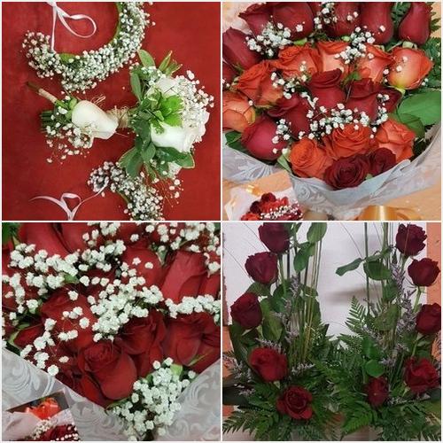 FLORERIA PETALOS FLORERIA PETTALOS