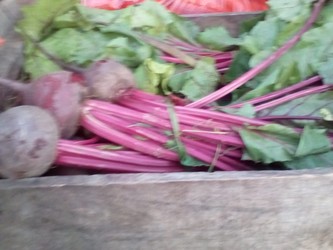 LAS GUADALUPES FRUTAS Y VERDURAS Remolacha