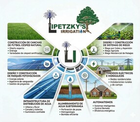 Lipetzky´s 