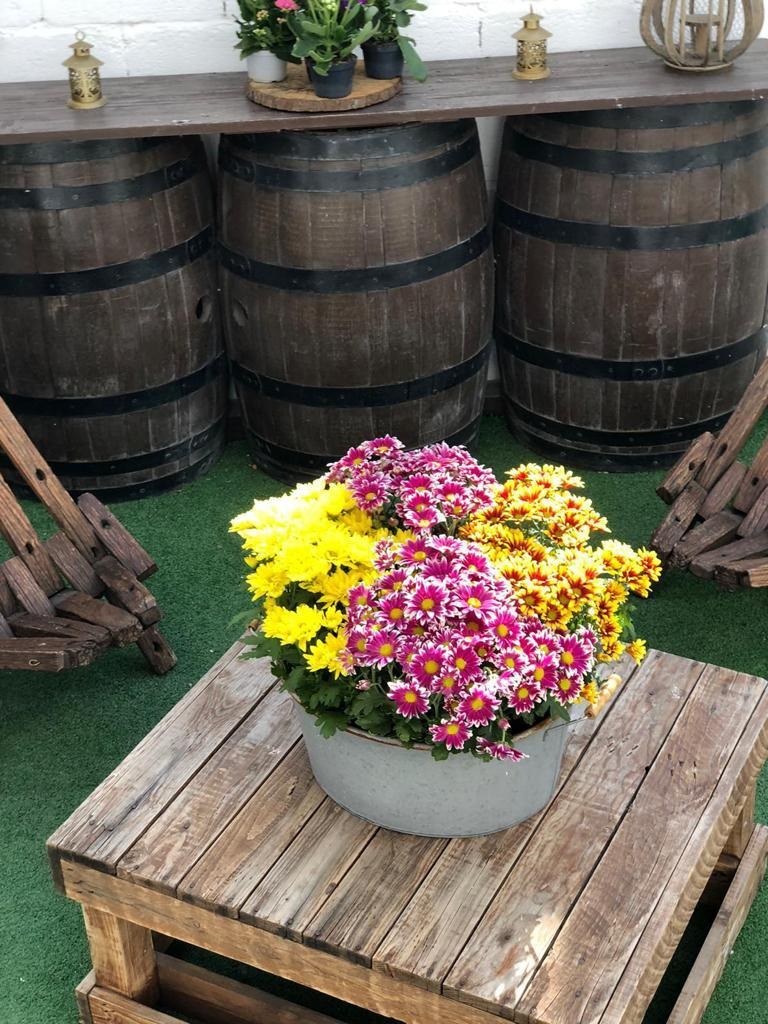 SAMBA 2 FIESTAS & EVENTOS  