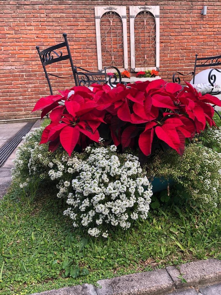 SAMBA 2 FIESTAS & EVENTOS  