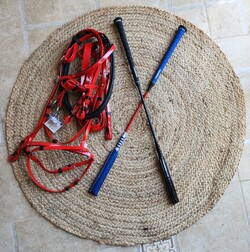 CEREALERA EL GANADOR 