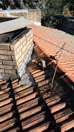 DESHOLLINADOR LA FORJA 