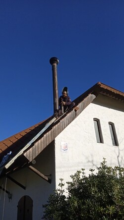 DESHOLLINADOR LA FORJA 