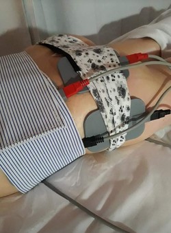 CENTRO ESTETICO INTEGRAL 