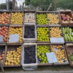 PUESTO FRUTAS Y VERDURAS ISMAEL 
