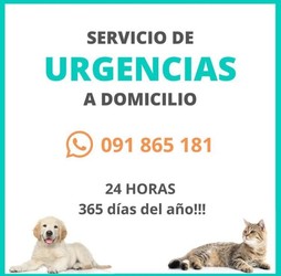 VETERINARIA CLINICA DE LA MASCOTA 