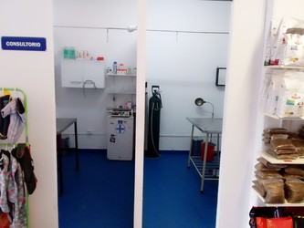 VETERINARIA CLINICA DE LA MASCOTA 