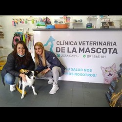 VETERINARIA CLINICA DE LA MASCOTA 
